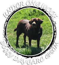 Under One Woof Epsom